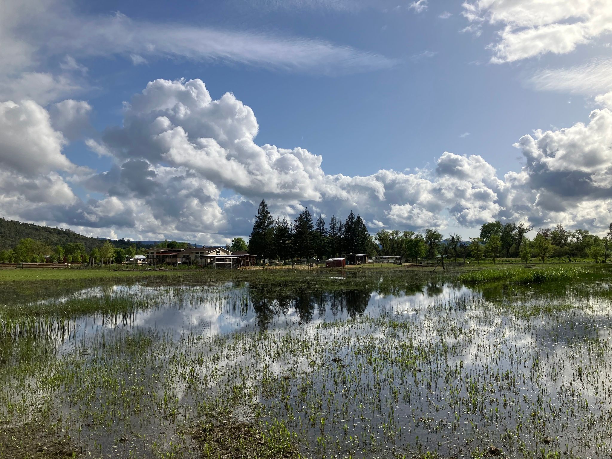 Fields still inundated just before the emergency culvert work