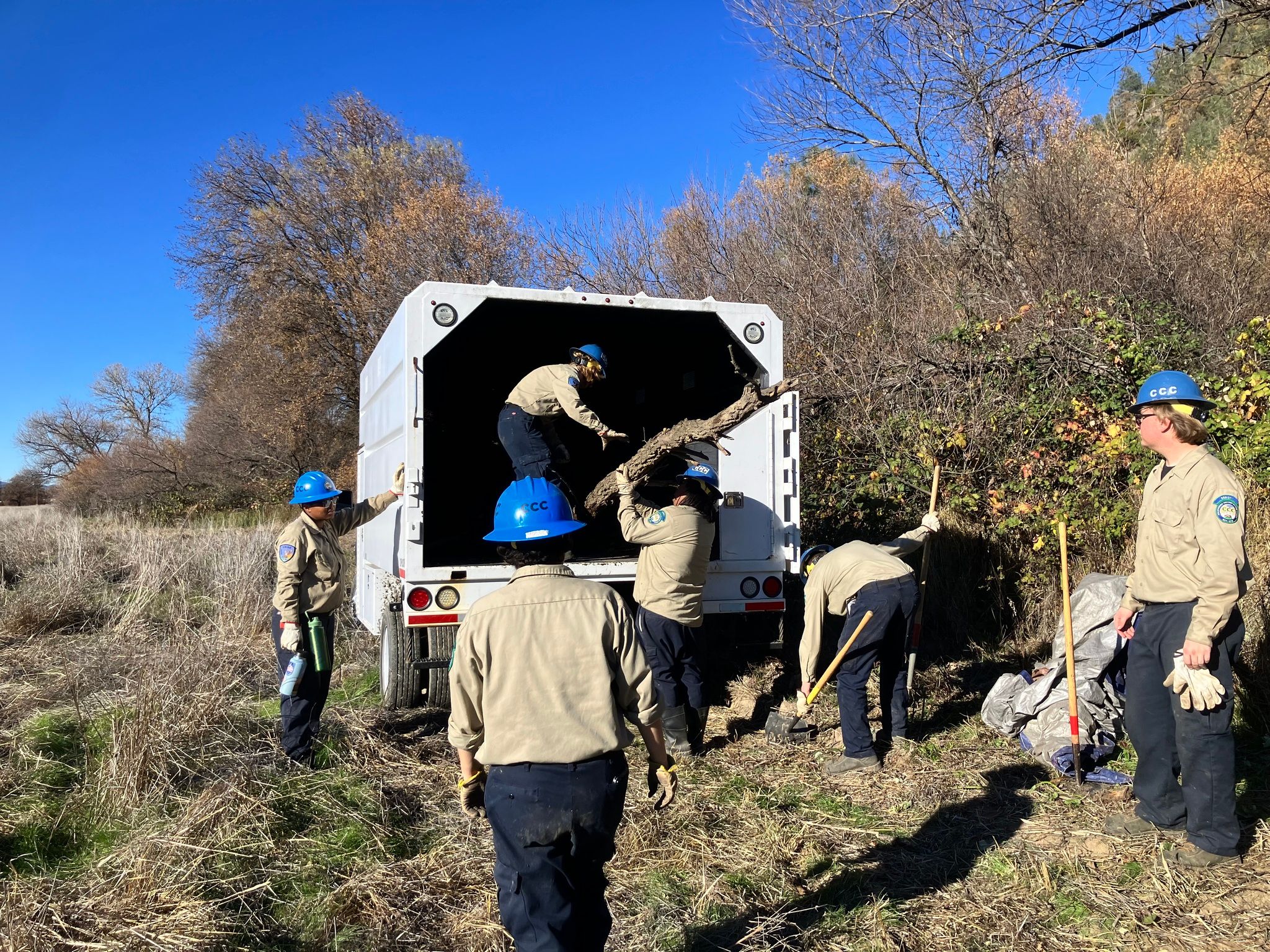 California Conservation Corps loading up vegetation from Cole Creek (December 2025)