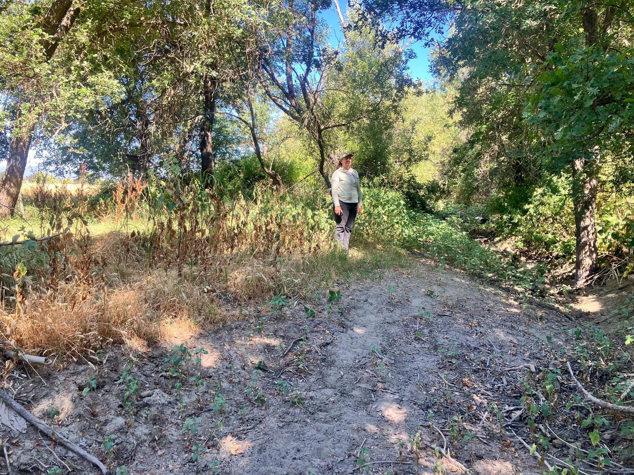 Claire from CDFW showing how much sediment is in the creek (August 2025)
