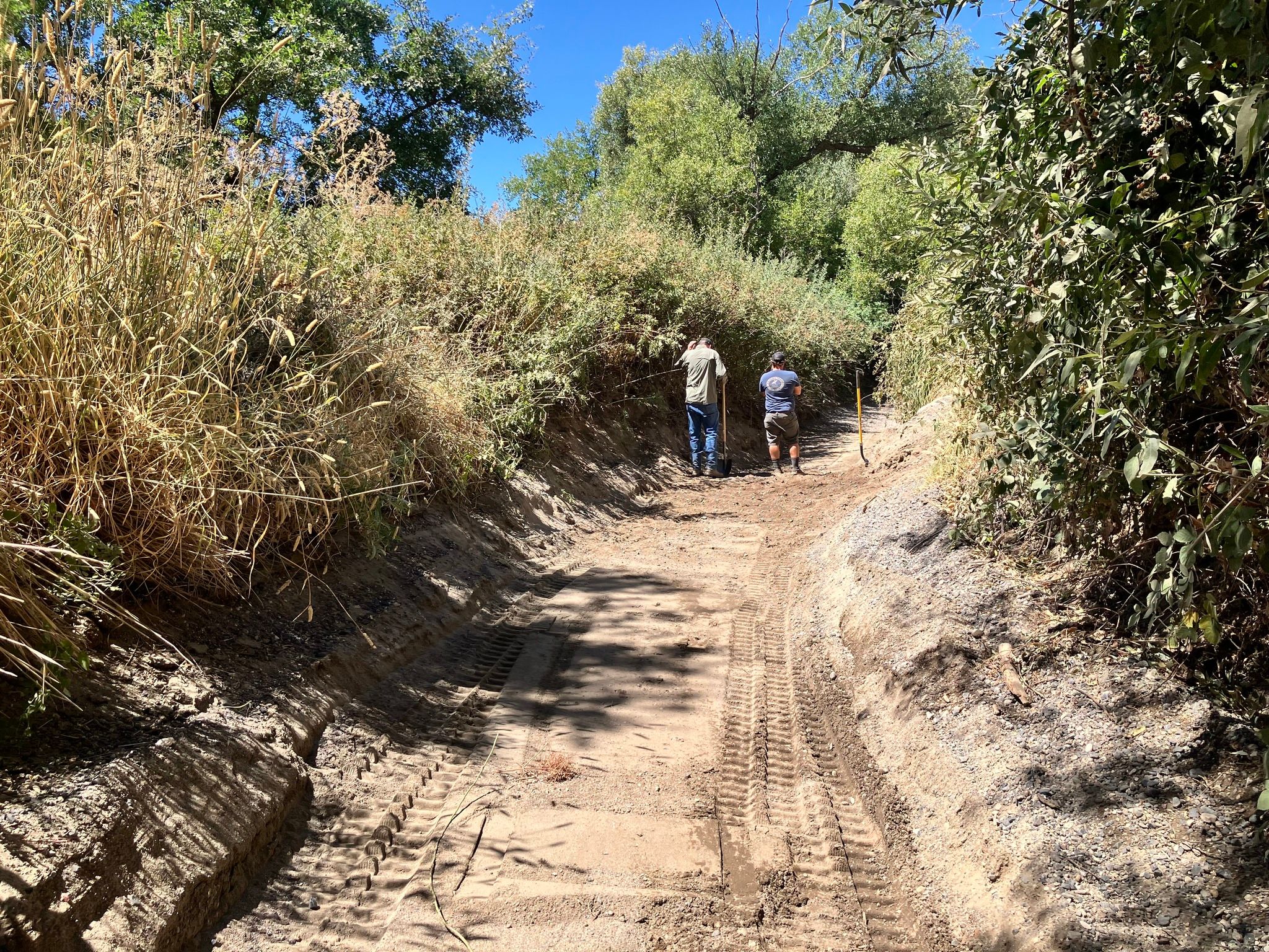 Walking the freshly dredged creek bed (August 2025)