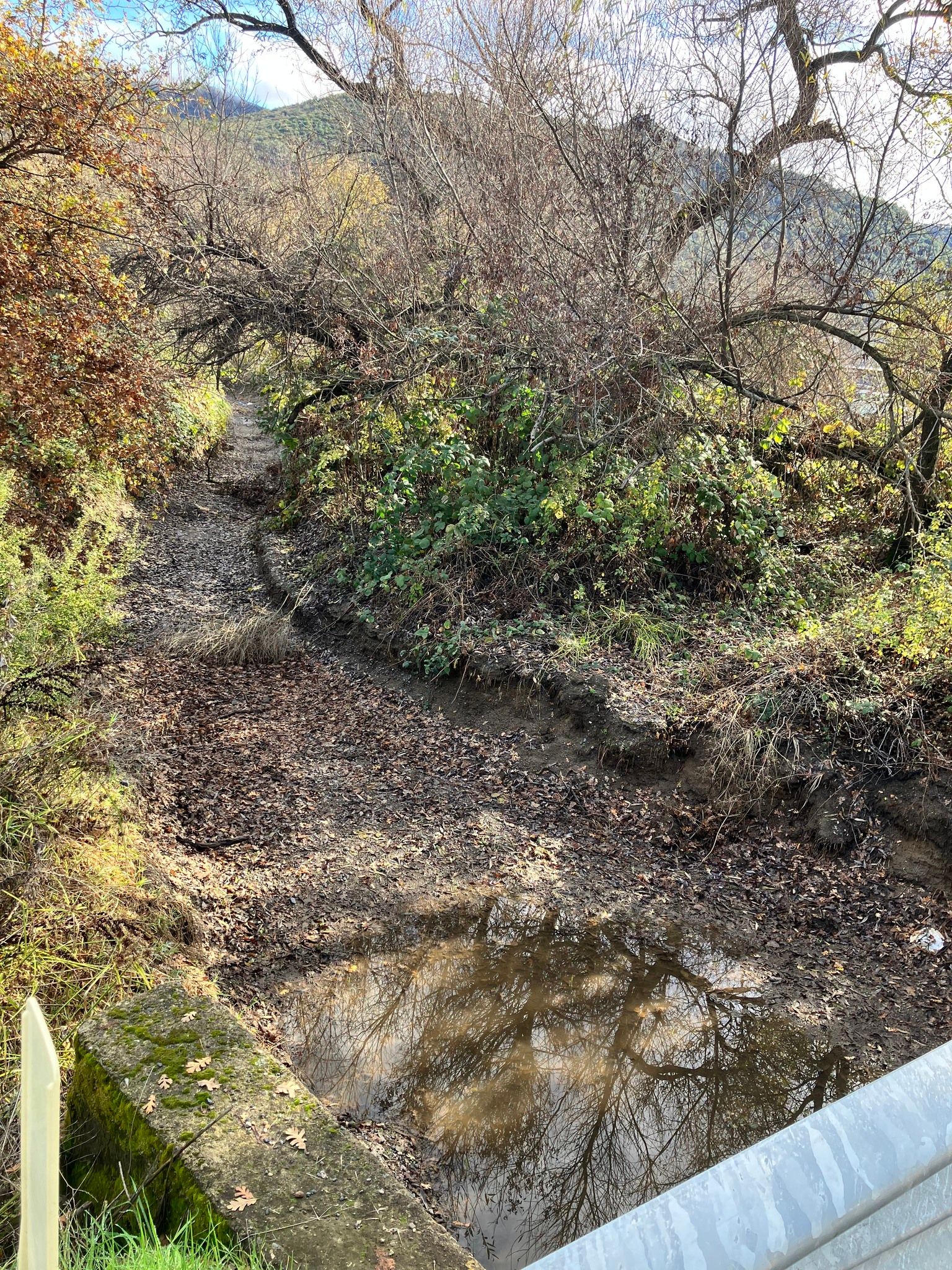 A small puddle forming under Clark Drive bridge in the otherwise dry creek bed (November 2025)