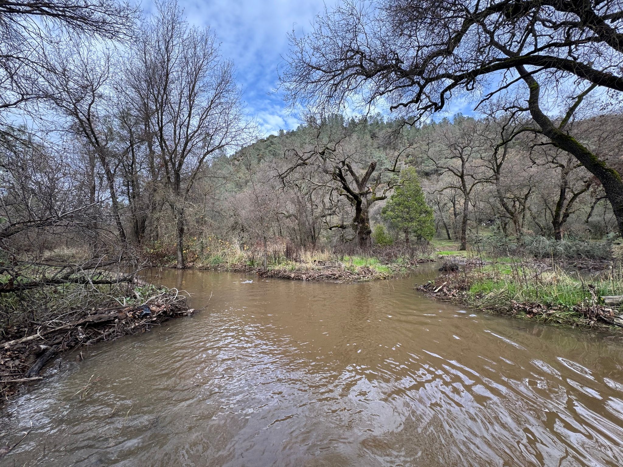 Cole Creek breaching levee (right) alongside Clark Dr because of sediment buildup (left) (December 2025)