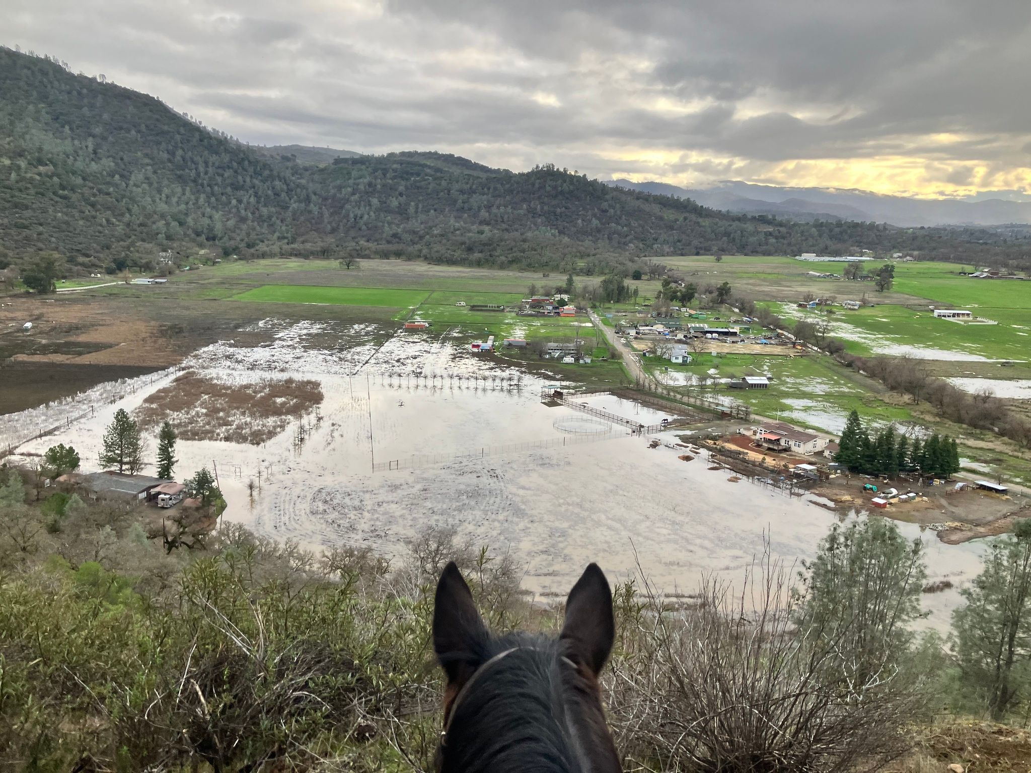 Flooded pasture with stagnant stormwater and no drainage (January 2026)