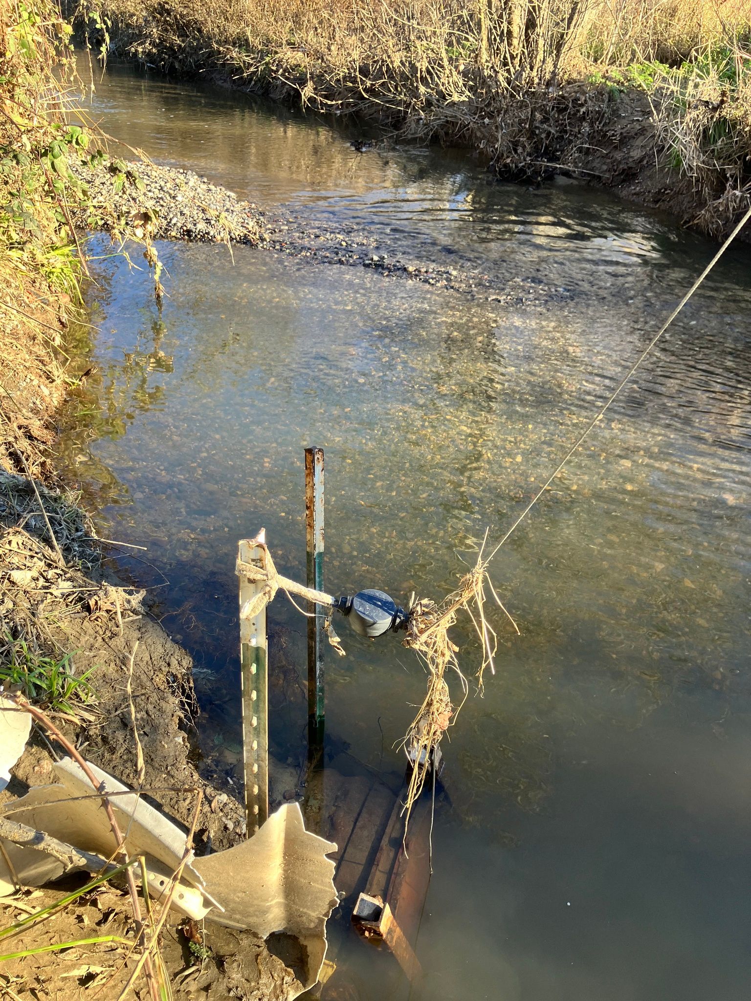 Sediment accumulating at the Pharo Place culvert (January 2026)