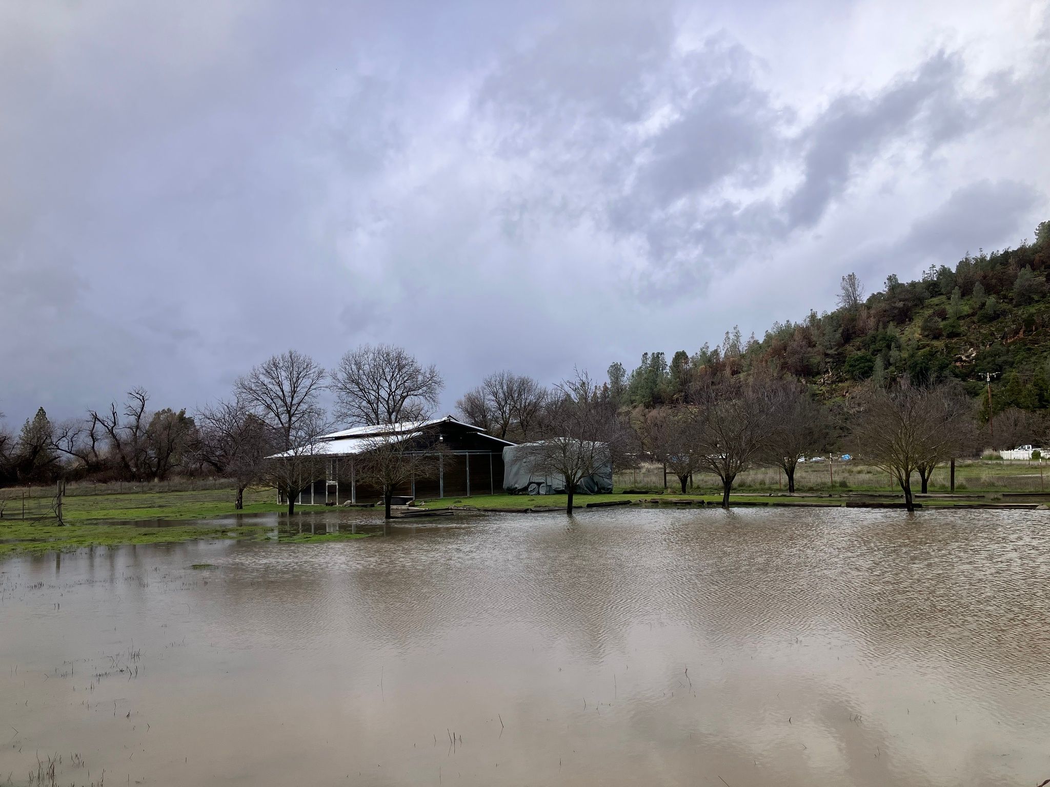 Barn in a flooded field on Pharo Place (February 2026)