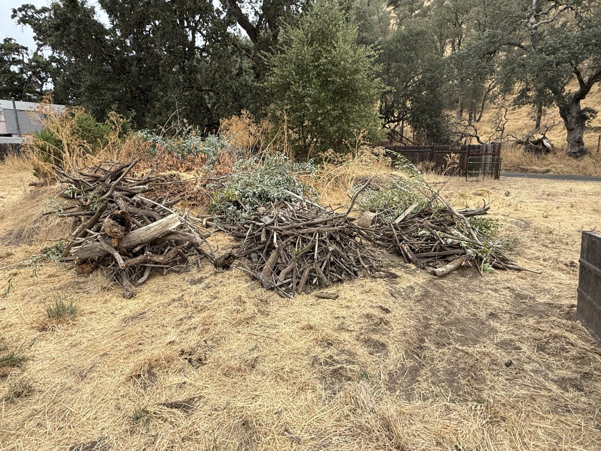 Woody debris removed from Cole Creek during the September 1, 2026 cleanup