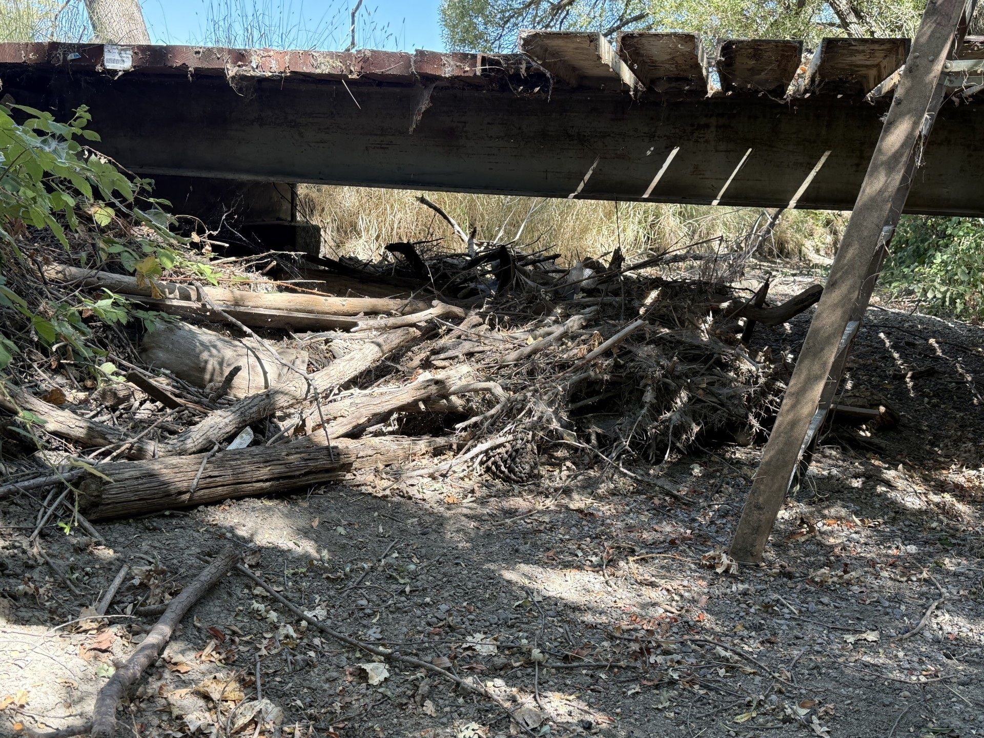 Woody debris blocking Cole Creek beneath a bridge along Clark Drive before cleanup