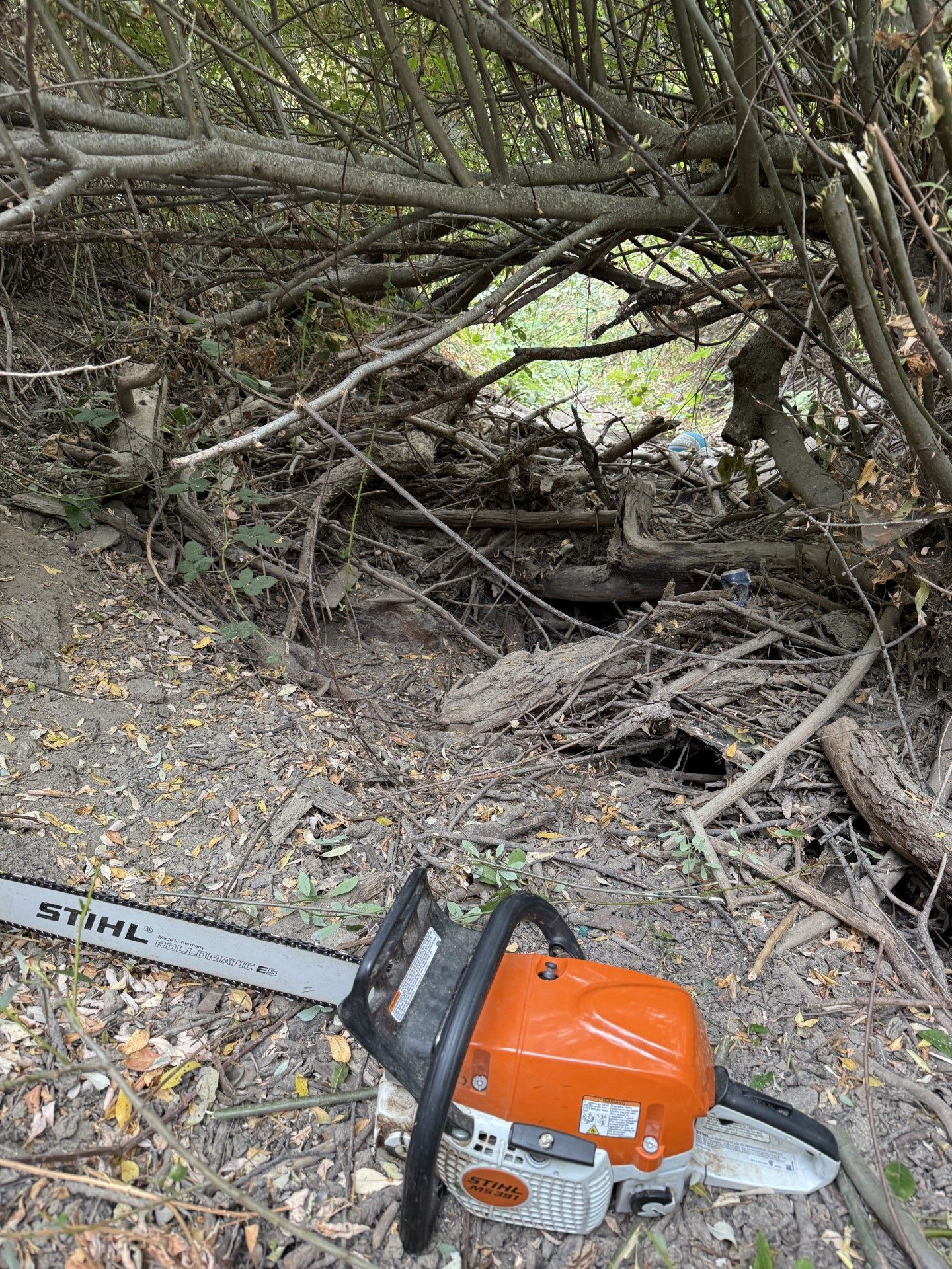 A second woody debris blockage in Cole Creek farther downstream before cleanup