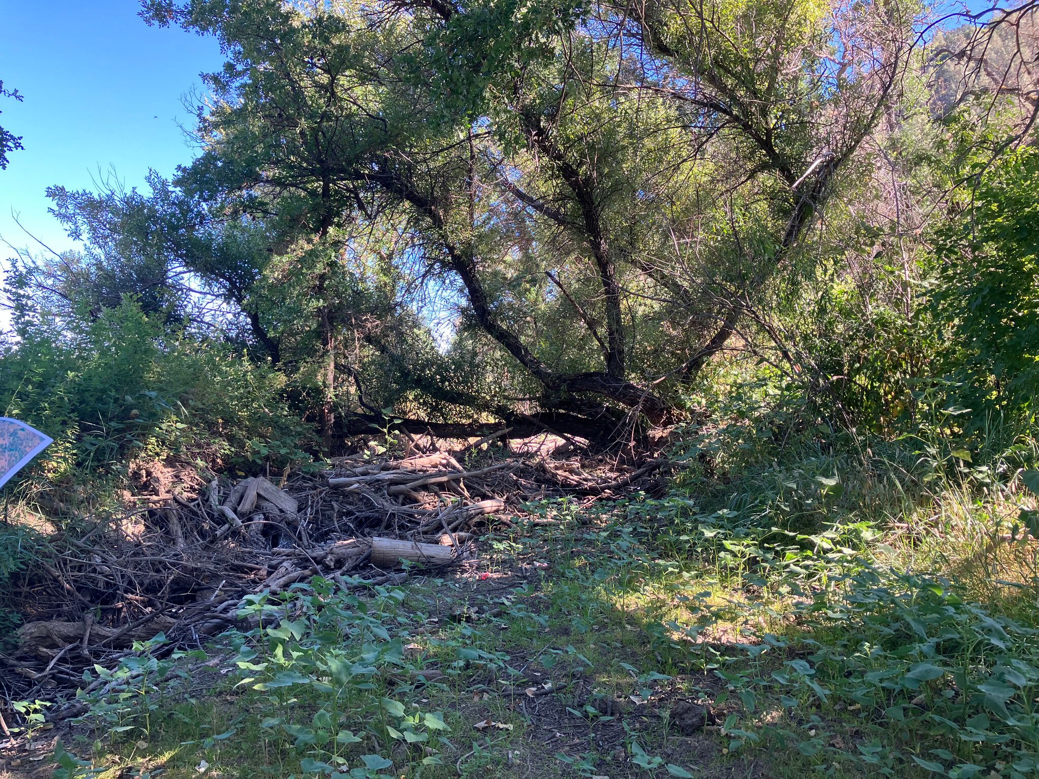 Blocked sections of Cole Creek