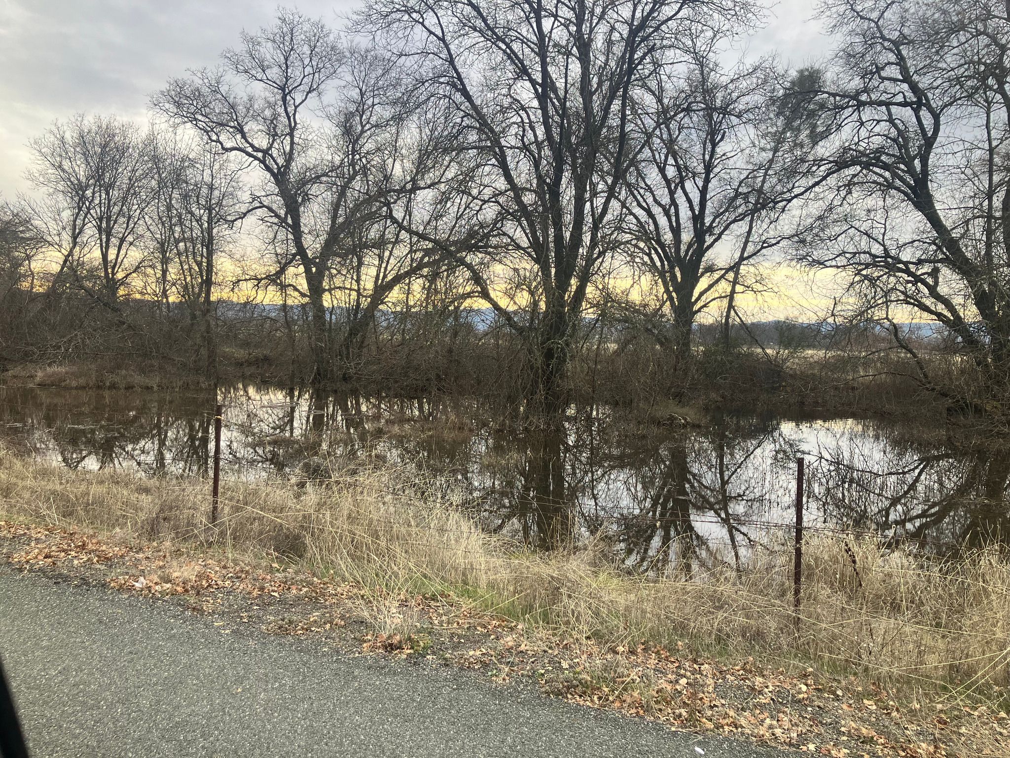 Flooding along Clark Drive towards Soda Bay road (December 2024)