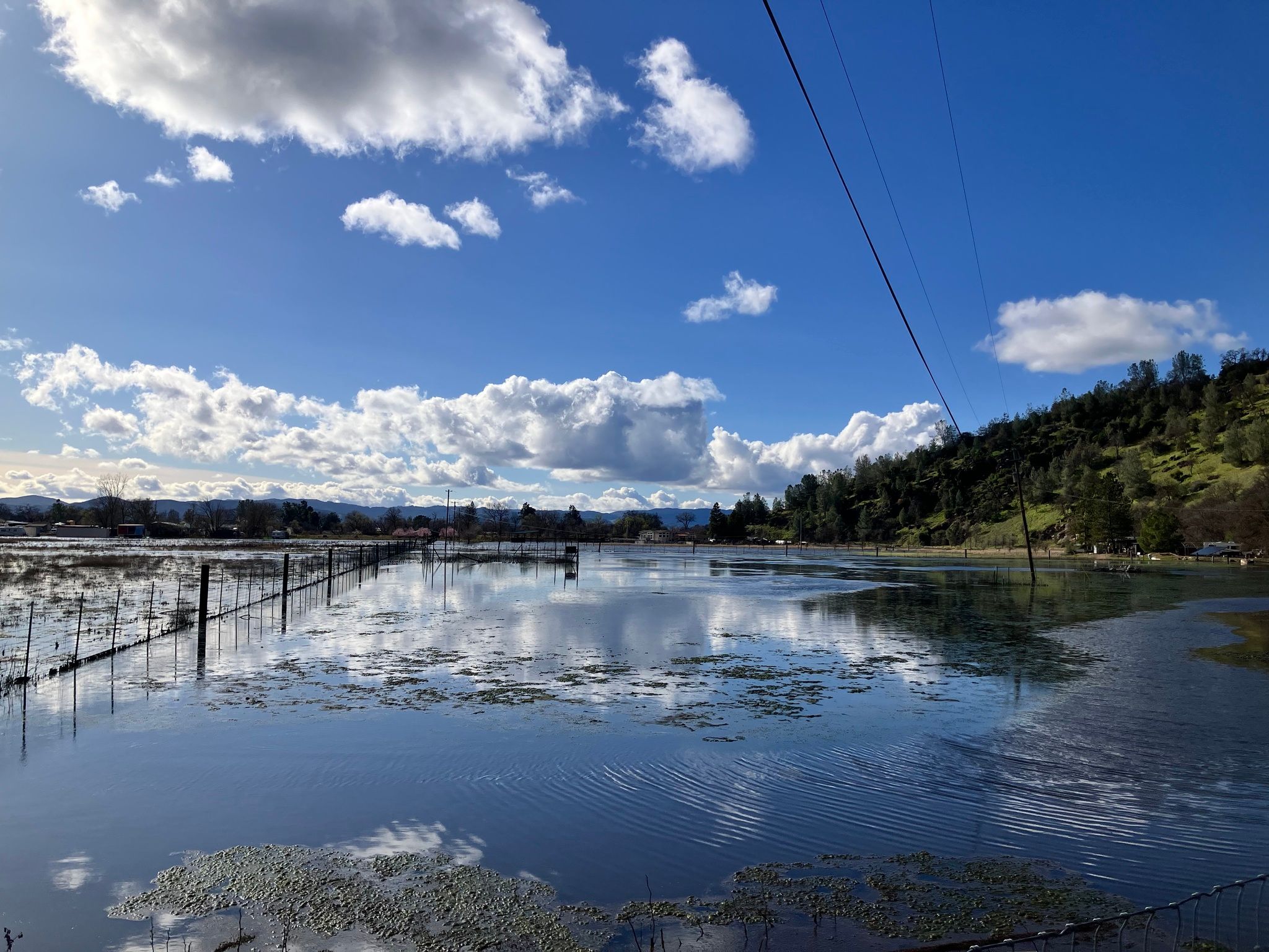 Flooded pasture where the gauge is monitoring water levels