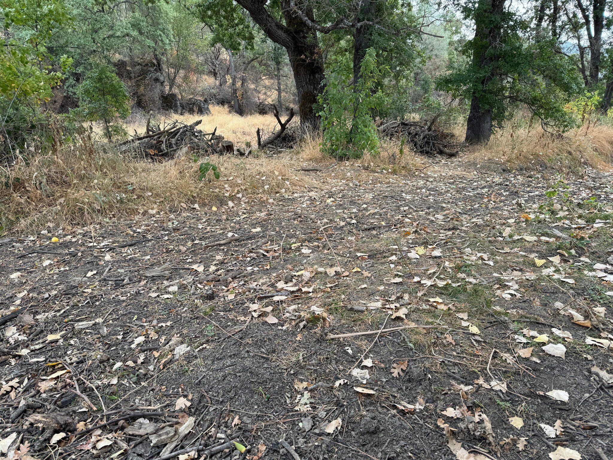 Cole Creek bed is level with the surrounding ground