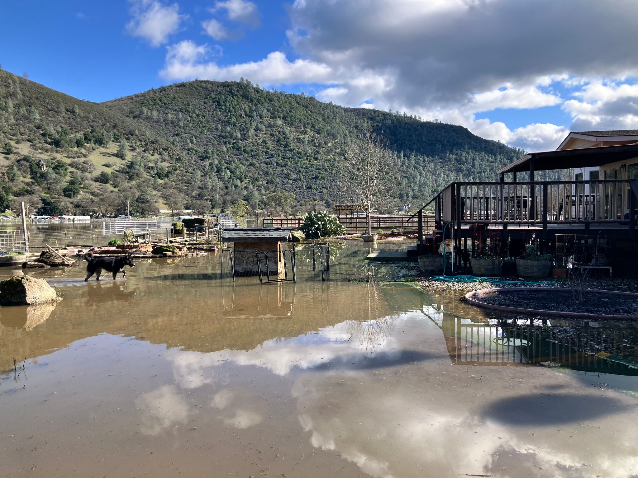 Backyard flooded (February 2024)