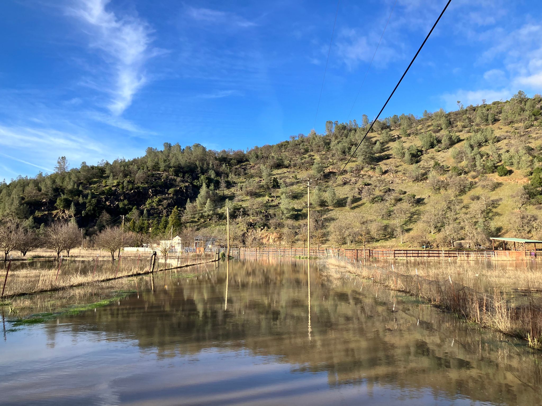 Pharo Place road flooded  (February 2024)