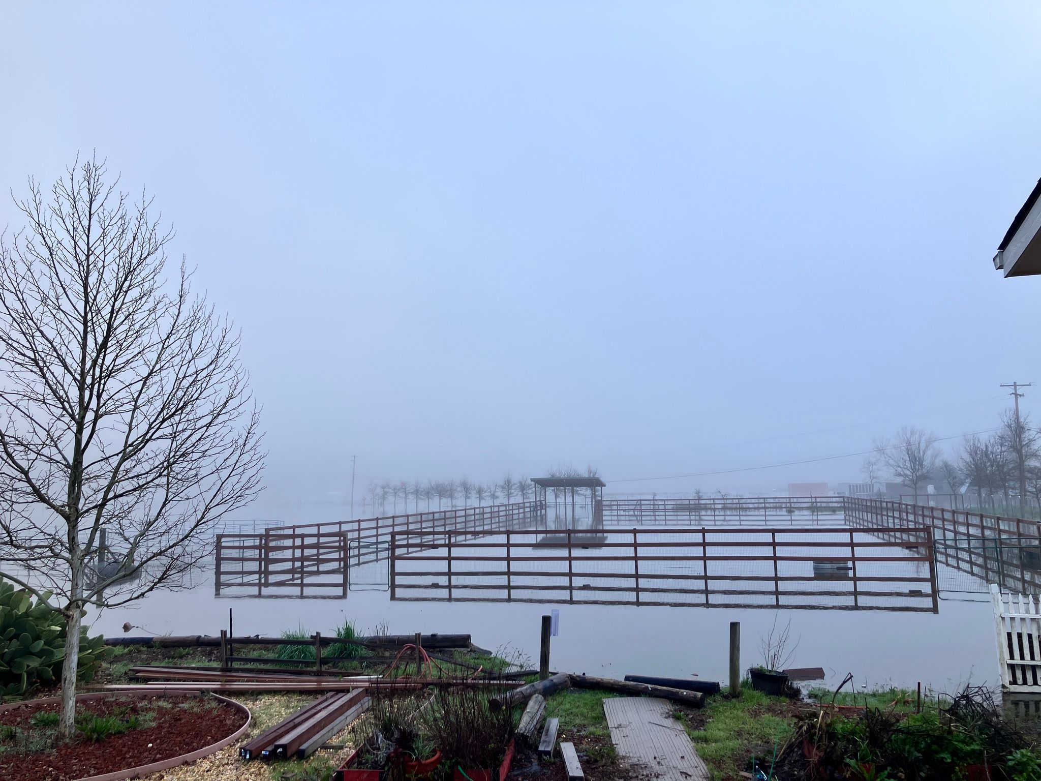 Foggy flood (February 2024)