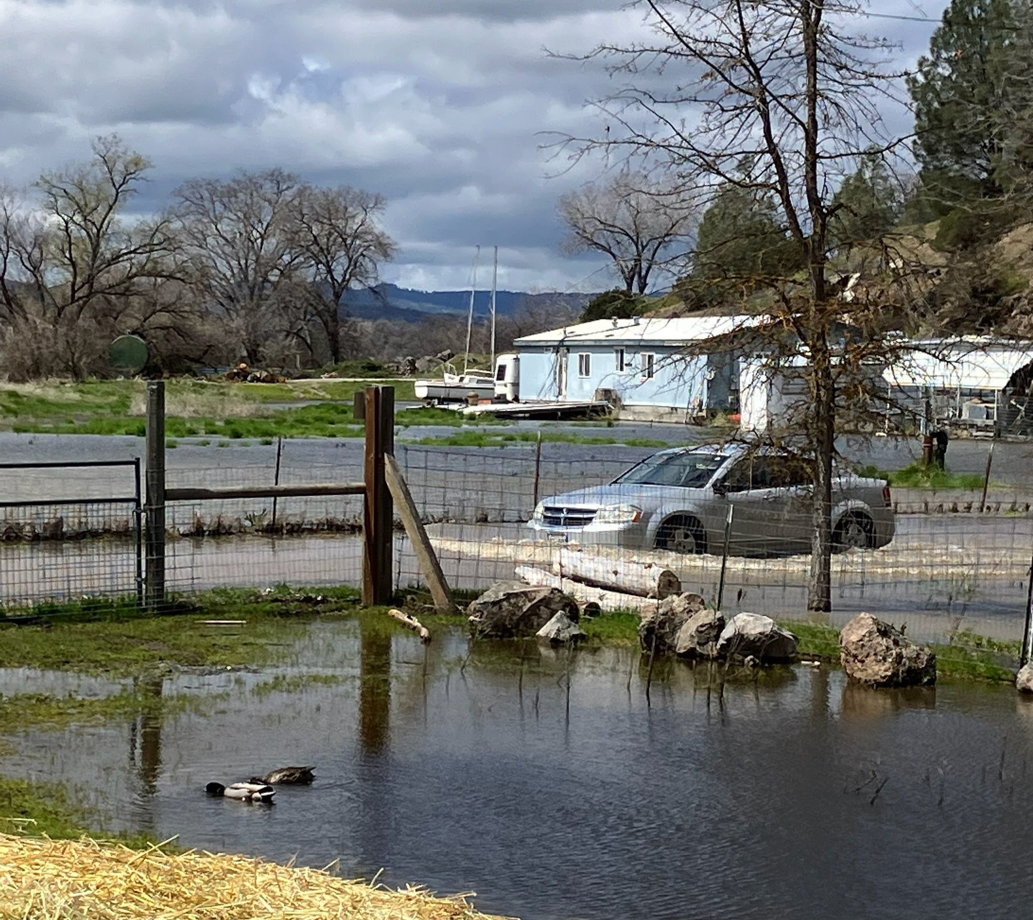Car driving down Pharo Place in the water  (April 2023)
