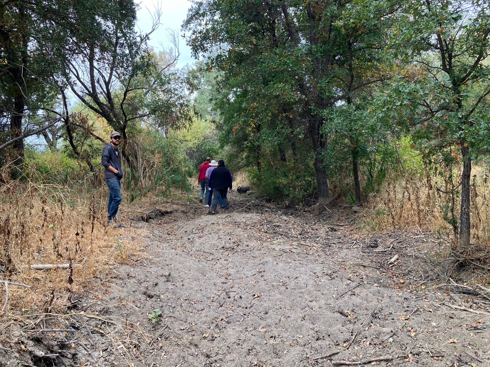 Cole creek at or above ground level  (October 2023)
