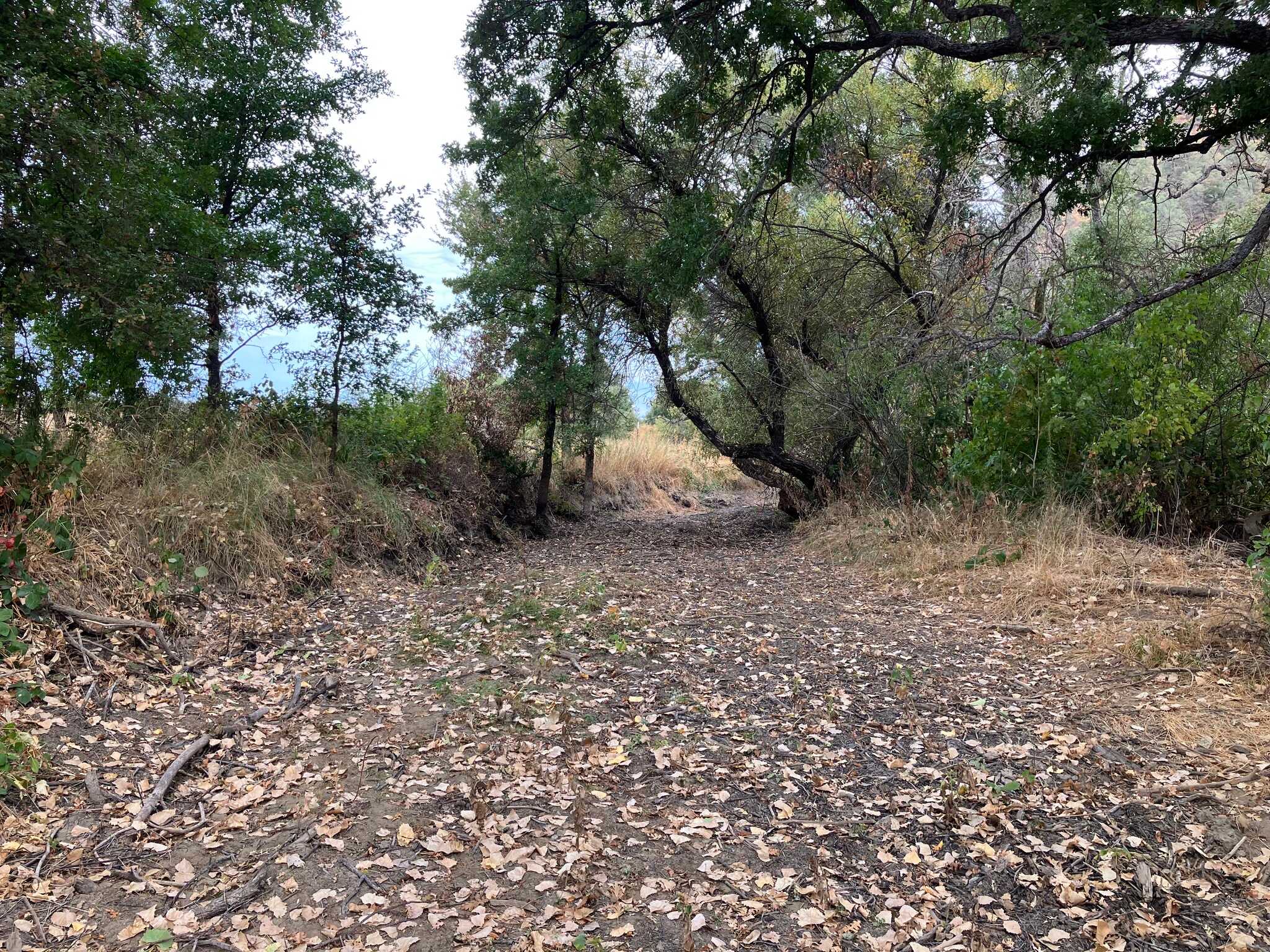 Cole creek when dry showing lack of depth 