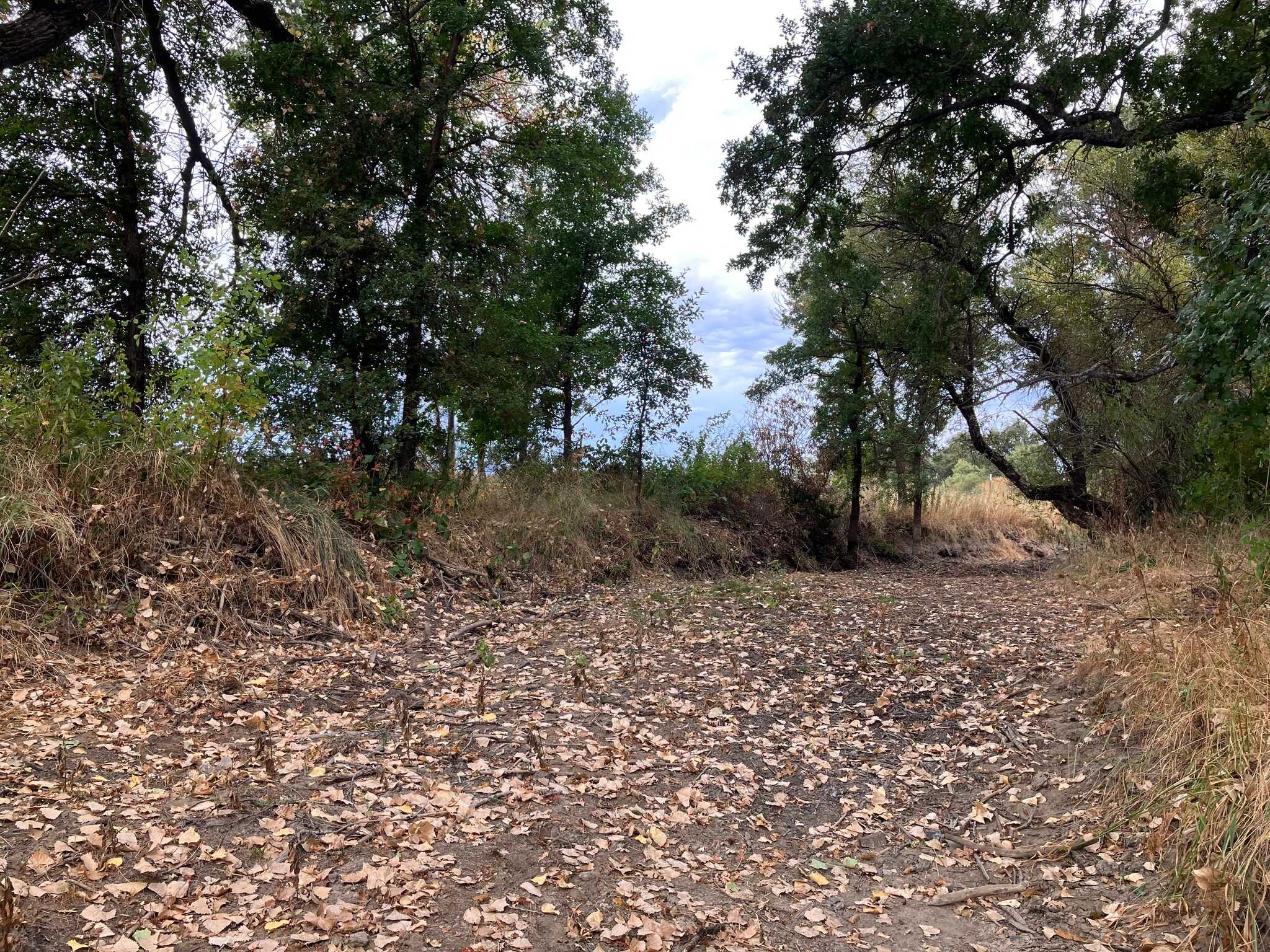 Cole creek when dry showing lack of depth and in need of dredging 