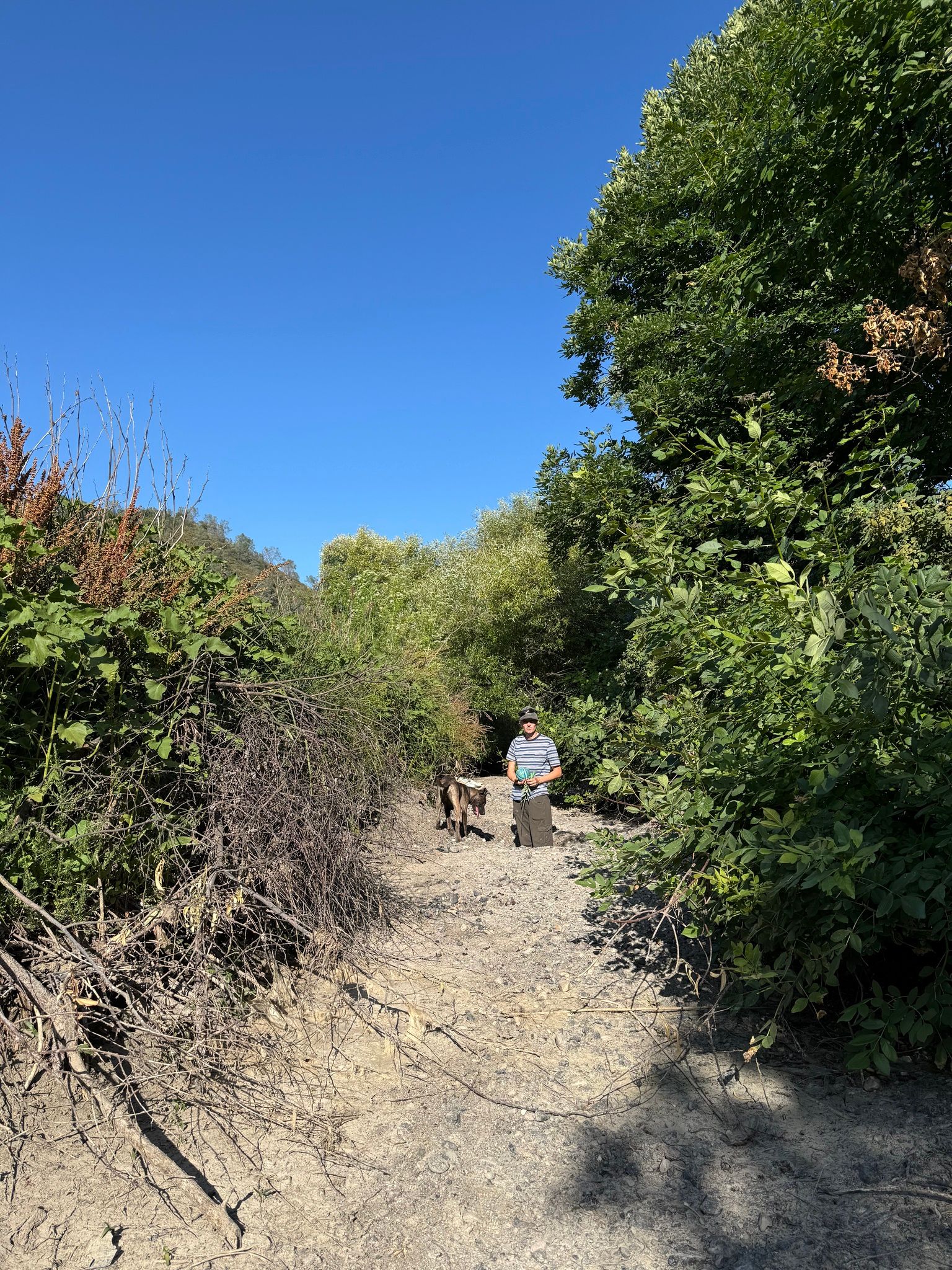 Large amounts of sediment in the creek bed (June 2025)