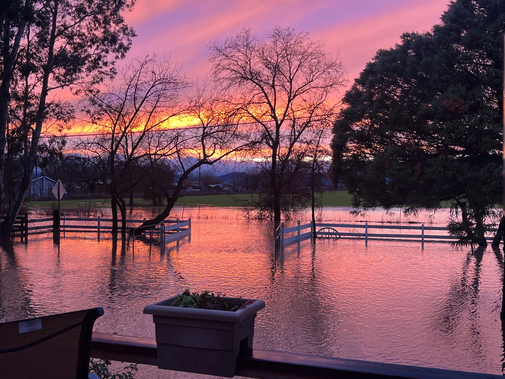 Flooded front yard on Clark Drive (February 2025)