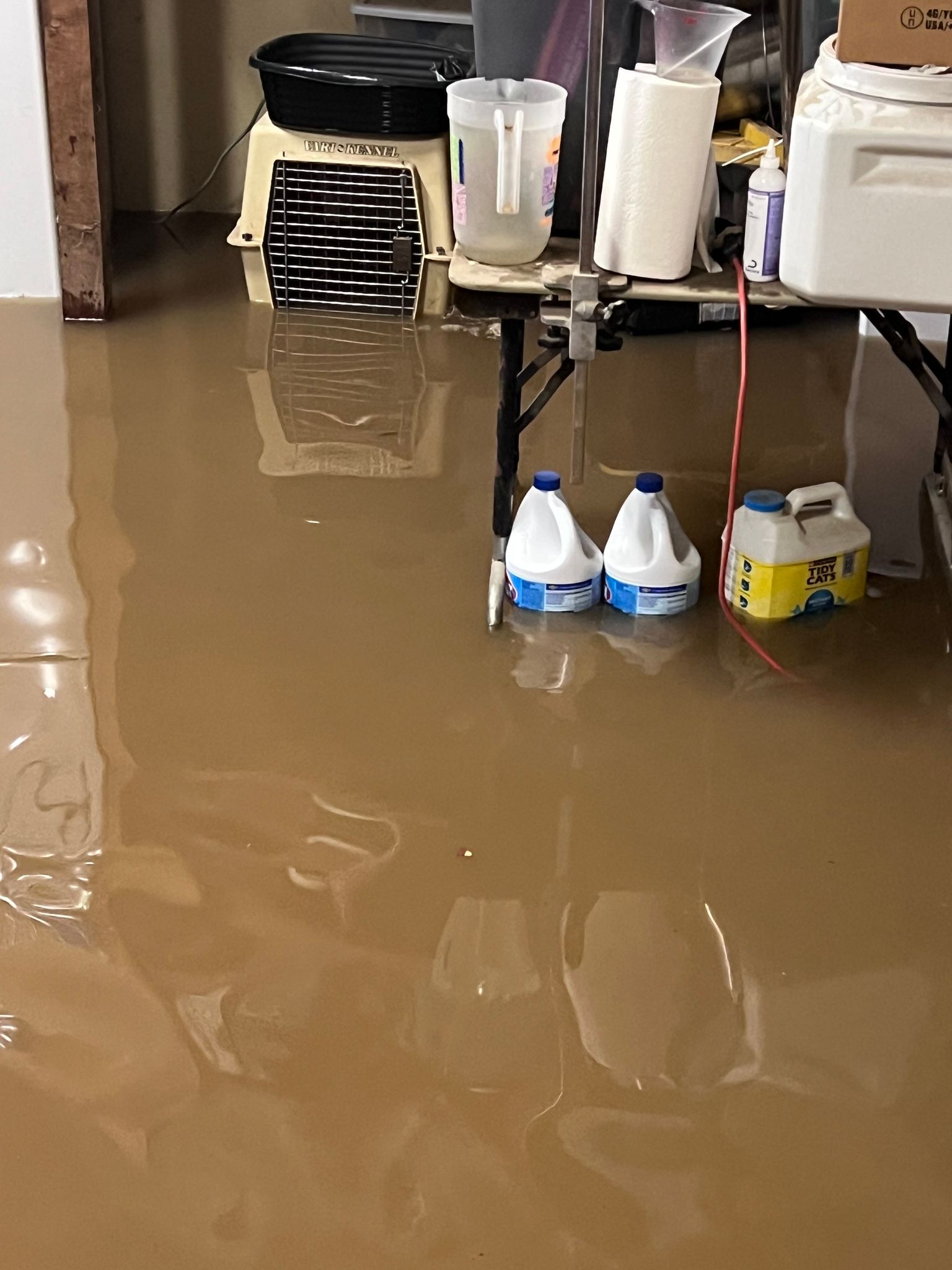Flooded garage on Clark Drive (February 2025)