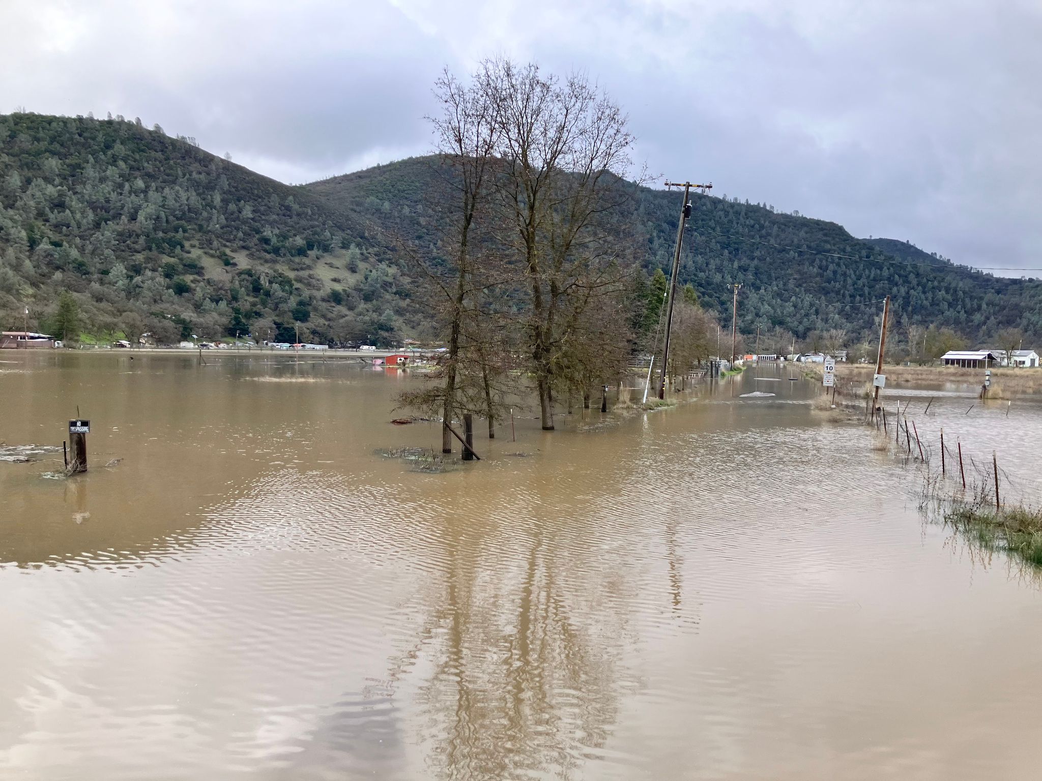 Flooded road at Pharo Place