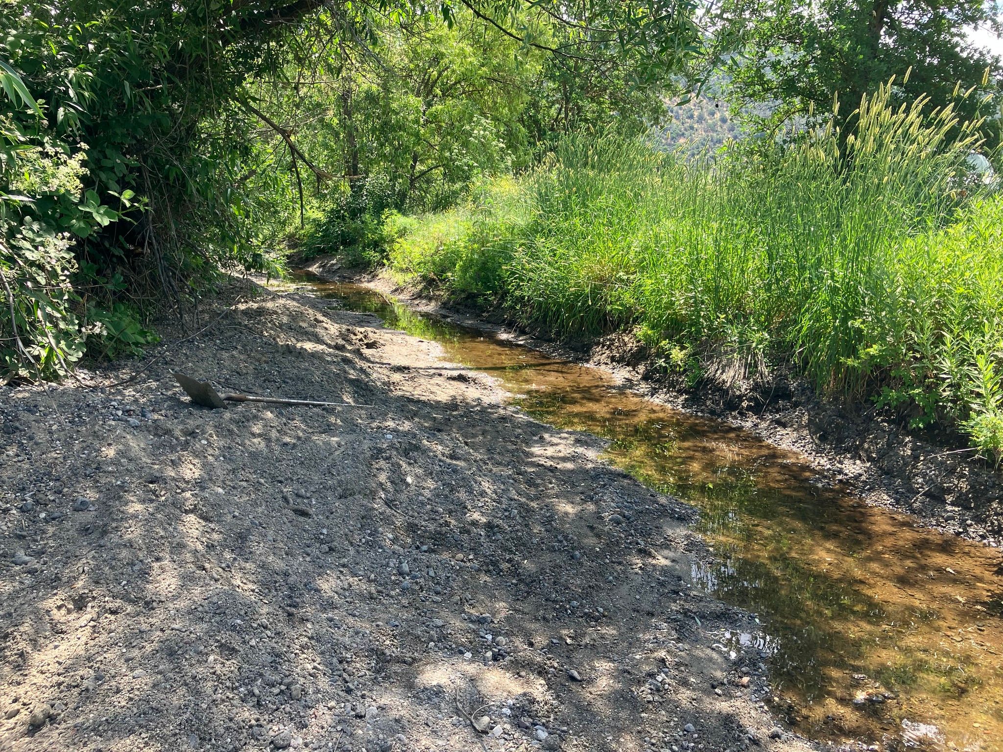 Sediment filling the creek channel near the Green Acres culvert