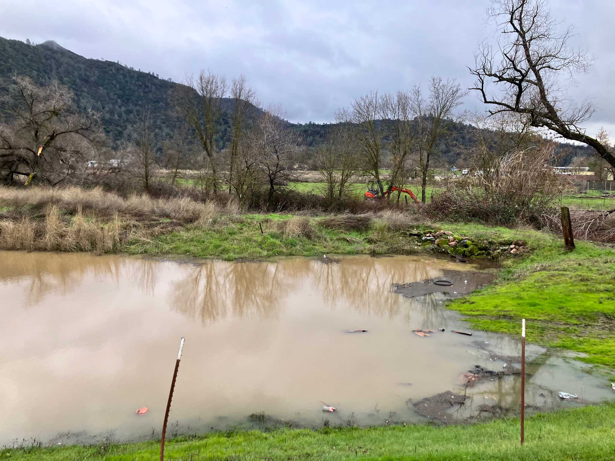 Outlet from Pharo Place into Cole Creek 