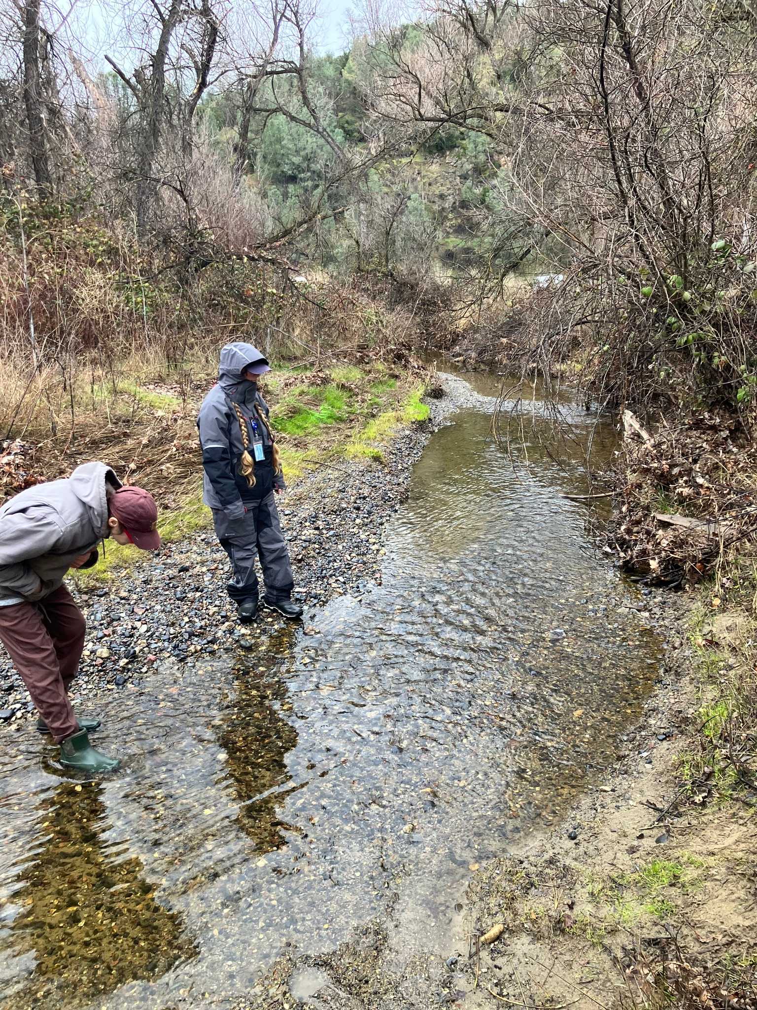 Sediment accumulation in the engineered Cole Creek bypass