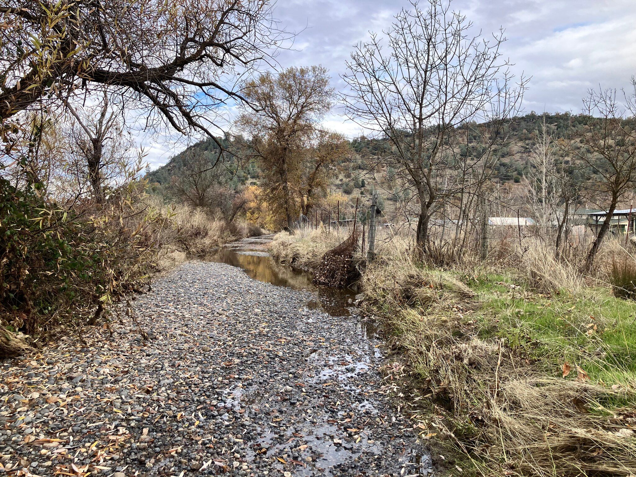 Cole Creek engineered section  (December 2024)