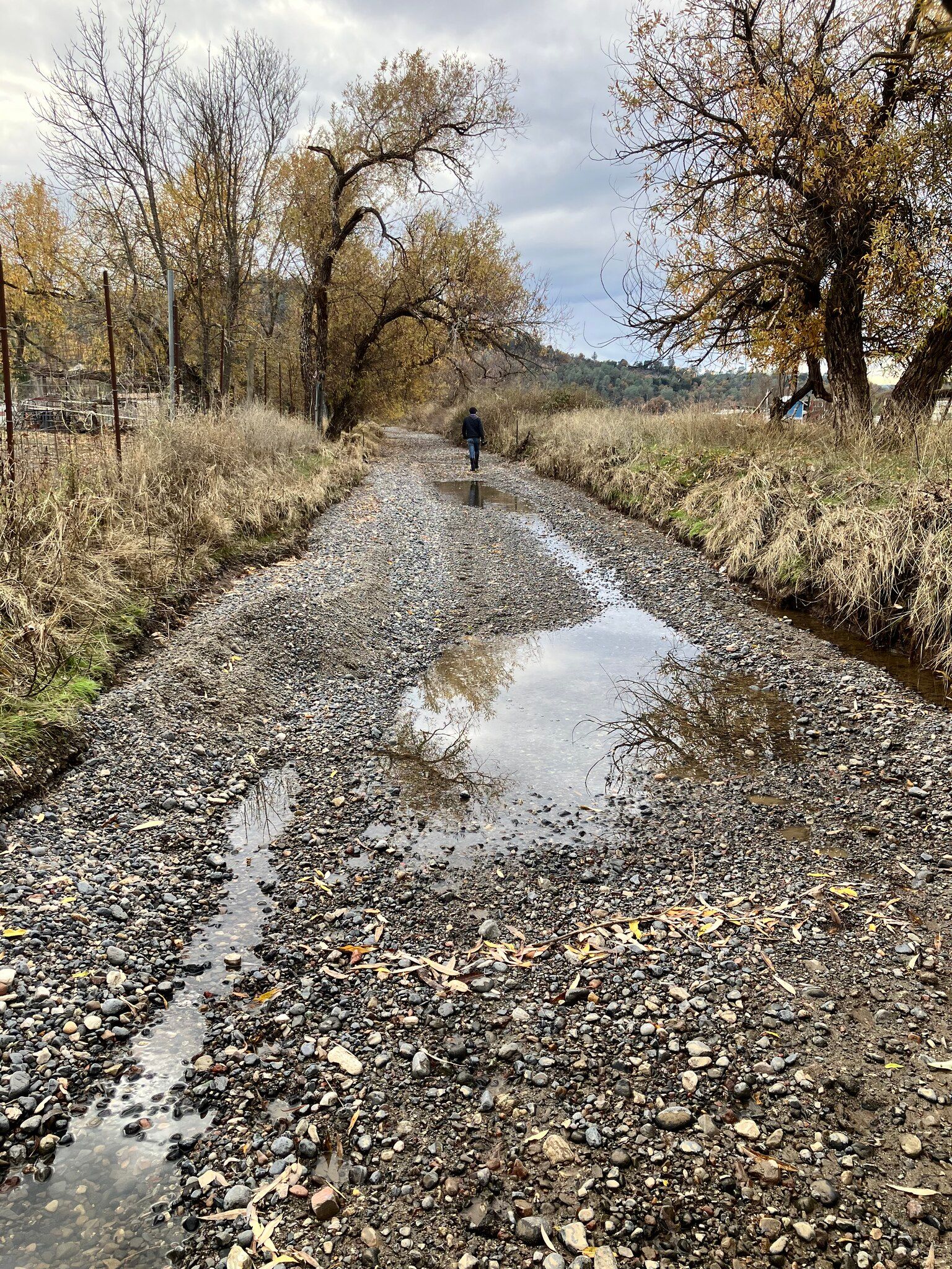 Cole Creek full of gravel (December 2024)