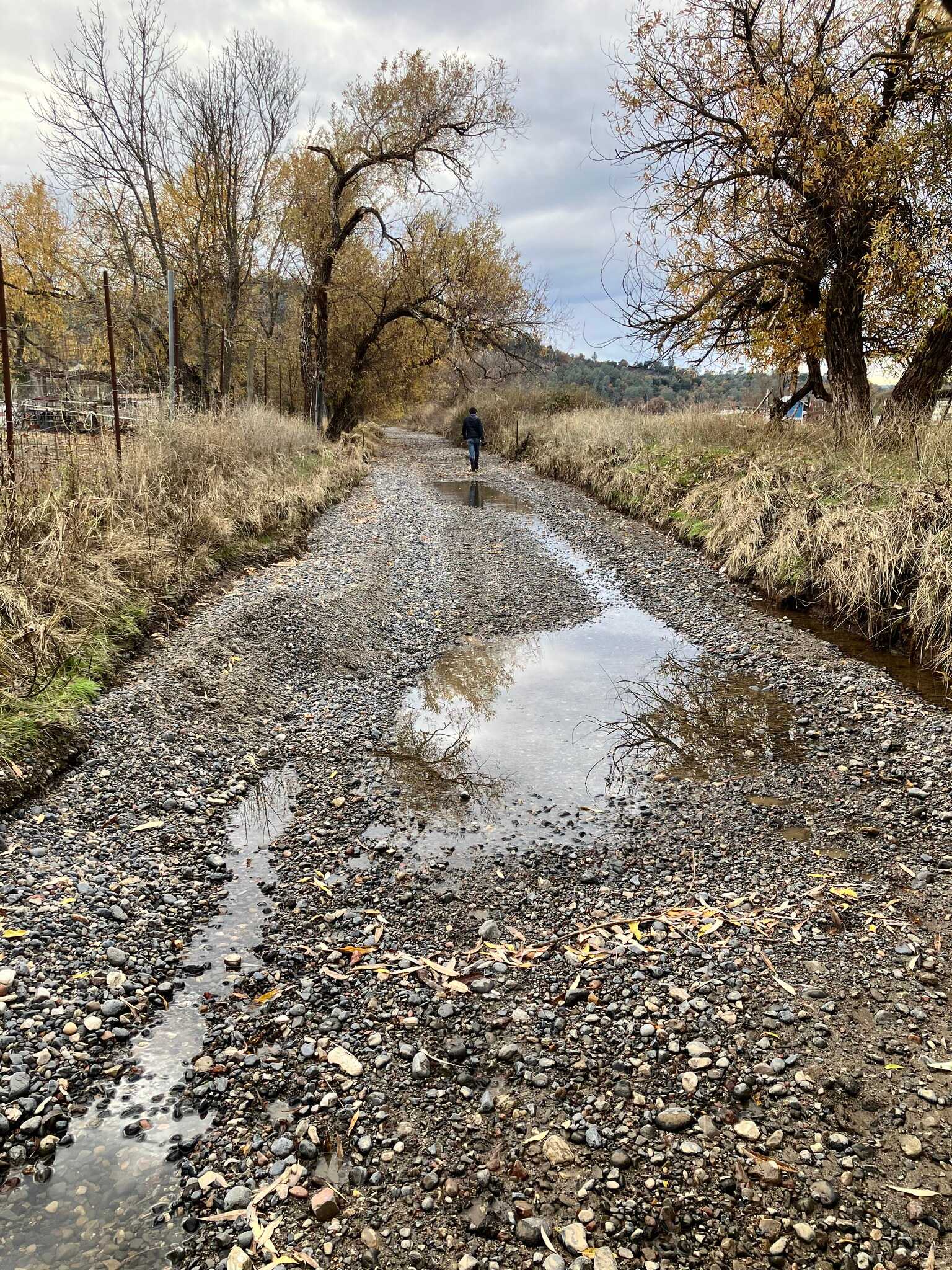 Cole Creek full of gravel